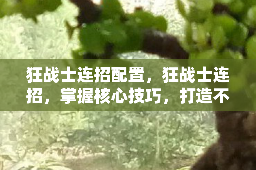 狂战士连招配置,狂战士连招,掌握核心技巧,打造不败神话 狂战士连招配置,狂战士连招,掌握核心技巧,打造不败神话