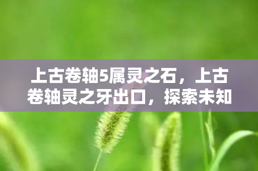上古卷轴5属灵之石,上古卷轴灵之牙出口,探索未知世界的奇幻之旅 上古卷轴5属灵之石,上古卷轴灵之牙出口,探索未知世界的奇幻之旅