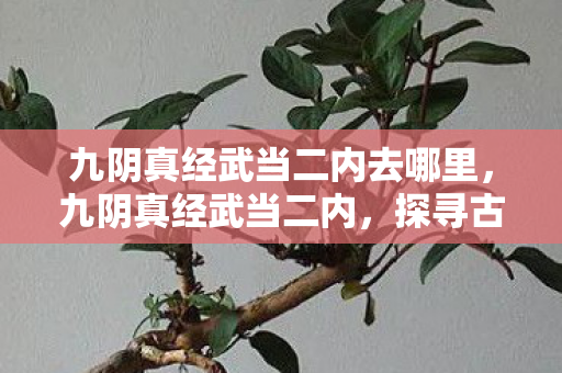 九阴真经武当二内去哪里,九阴真经武当二内,探寻古老武学的奥秘 九阴真经武当二内去哪里,九阴真经武当二内,探寻古老武学的奥秘