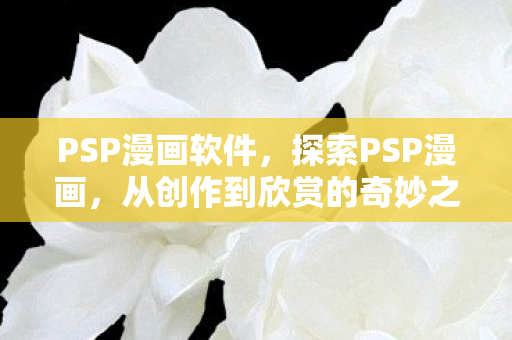 PSP漫画软件,探索PSP漫画,从创作到欣赏的奇妙之旅 PSP漫画软件,探索PSP漫画,从创作到欣赏的奇妙之旅