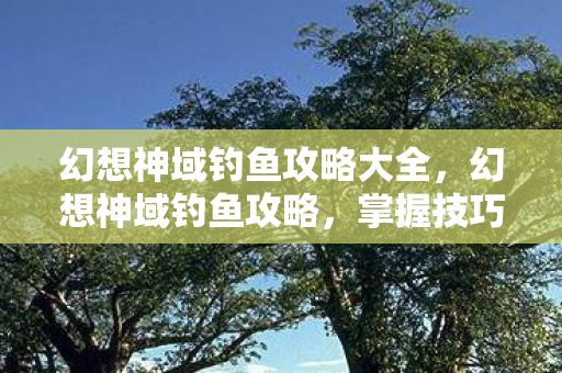 幻想神域钓鱼攻略大全,幻想神域钓鱼攻略,掌握技巧,轻松成为钓鱼大师 幻想神域钓鱼攻略大全,幻想神域钓鱼攻略,掌握技巧,轻松成为钓鱼大师