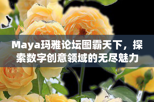 Maya玛雅论坛图霸天下,探索数字创意领域的无尽魅力 Maya玛雅论坛图霸天下,探索数字创意领域的无尽魅力