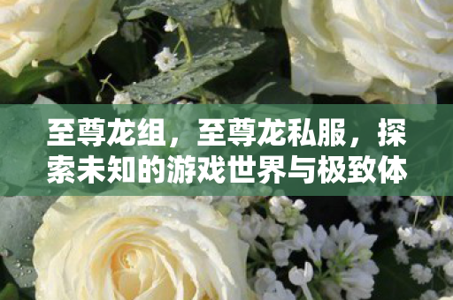 至尊龙组，至尊龙私服，探索未知的游戏世界与极致体验