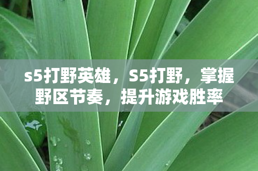 s5打野英雄,S5打野,掌握野区节奏,提升游戏胜率 s5打野英雄,S5打野,掌握野区节奏,提升游戏胜率