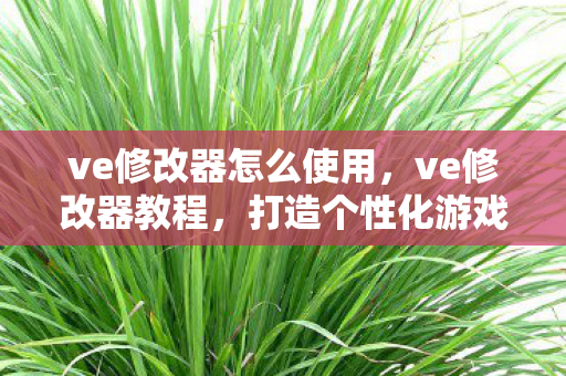 ve修改器怎么使用,ve修改器教程,打造个性化游戏体验 ve修改器怎么使用,ve修改器教程,打造个性化游戏体验