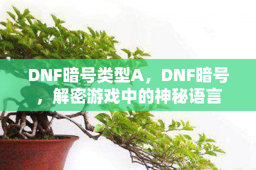 DNF暗号类型A,DNF暗号,解密游戏中的神秘语言 DNF暗号类型A,DNF暗号,解密游戏中的神秘语言