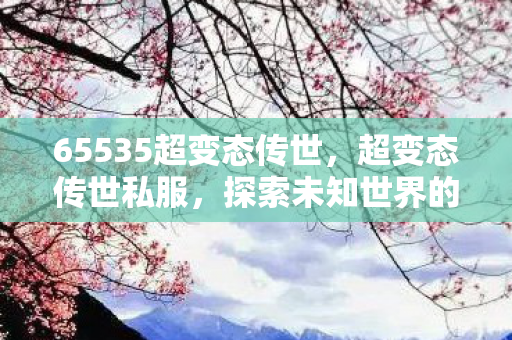 65535超变态传世，超变态传世私服，探索未知世界的奇妙之旅