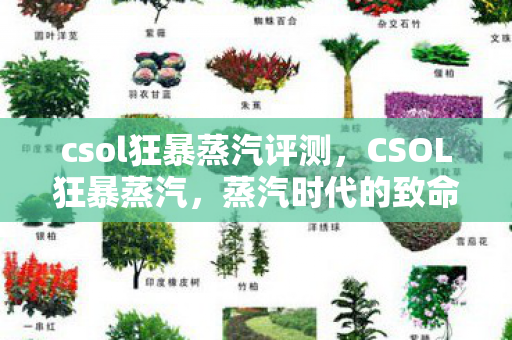 csol狂暴蒸汽评测,CSOL狂暴蒸汽,蒸汽时代的致命武器 csol狂暴蒸汽评测,CSOL狂暴蒸汽,蒸汽时代的致命武器