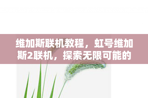 维加斯联机教程，虹号维加斯2联机，探索无限可能的在线冒险