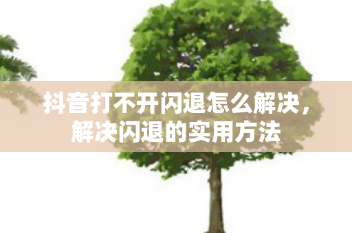 抖音打不开闪退怎么解决，解决闪退的实用方法