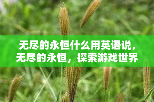无尽的永恒什么用英语说,无尽的永恒,探索游戏世界的深层价值 无尽的永恒什么用英语说,无尽的永恒,探索游戏世界的深层价值
