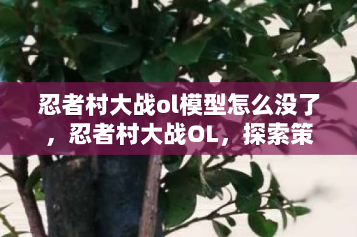 忍者村大战ol模型怎么没了，忍者村大战OL，探索策略与战斗的深度结合