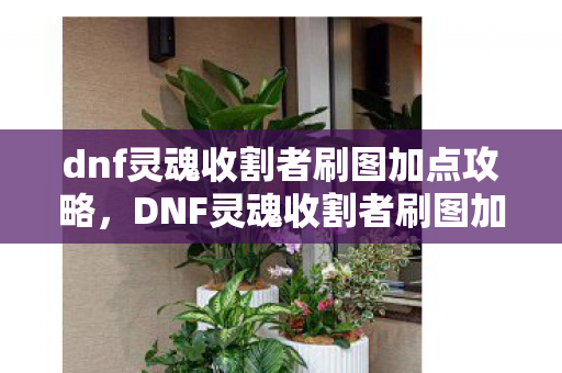 dnf灵魂收割者刷图加点攻略,DNF灵魂收割者刷图加点攻略 dnf灵魂收割者刷图加点攻略,DNF灵魂收割者刷图加点攻略