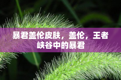 暴君盖伦皮肤,盖伦,王者峡谷中的暴君 暴君盖伦皮肤,盖伦,王者峡谷中的暴君