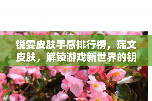 锐雯皮肤手感排行榜，瑞文皮肤，解锁游戏新世界的钥匙