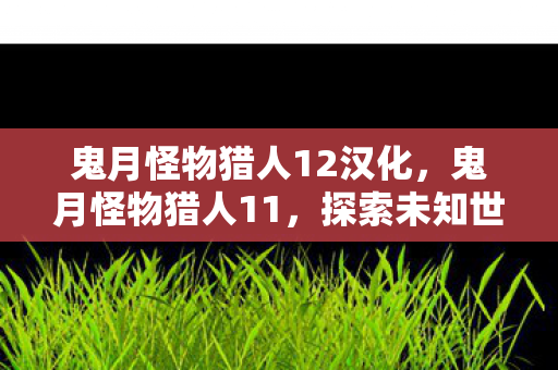 鬼月怪物猎人12汉化，鬼月怪物猎人11，探索未知世界的奇幻之旅