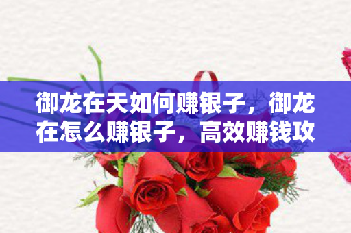 御龙在天如何赚银子，御龙在怎么赚银子，高效赚钱攻略大揭秘