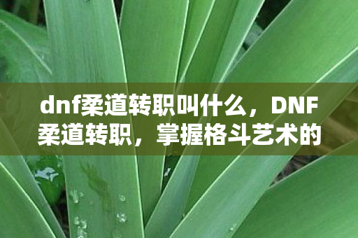 dnf柔道转职叫什么,DNF柔道转职,掌握格斗艺术的进阶之路 dnf柔道转职叫什么,DNF柔道转职,掌握格斗艺术的进阶之路