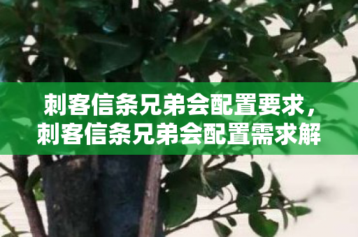 刺客信条兄弟会配置要求,刺客信条兄弟会配置需求解析 刺客信条兄弟会配置要求,刺客信条兄弟会配置需求解析