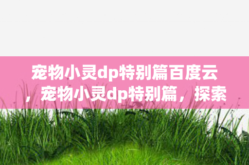 宠物小灵dp特别篇百度云，宠物小灵dp特别篇，探索宠物世界的奇妙之旅
