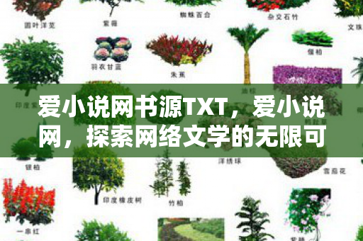 爱小说网书源TXT，爱小说网，探索网络文学的无限可能