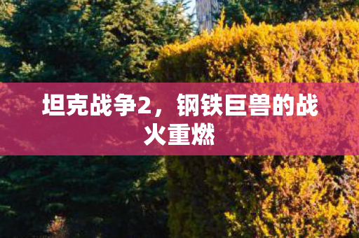 坦克战争2,钢铁巨兽的战火重燃 坦克战争2,钢铁巨兽的战火重燃