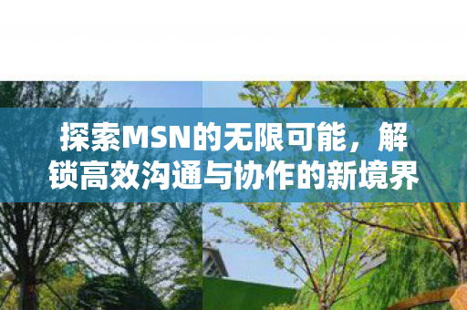 探索MSN的无限可能，解锁高效沟通与协作的新境界