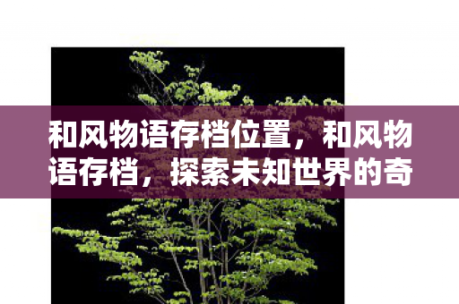 和风物语存档位置，和风物语存档，探索未知世界的奇妙之旅