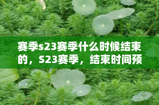 赛季s23赛季什么时候结束的,S23赛季,结束时间预测与回顾 赛季s23赛季什么时候结束的,S23赛季,结束时间预测与回顾