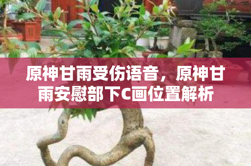 原神甘雨受伤语音，原神甘雨安慰部下C画位置解析