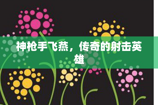 神枪手飞燕,传奇的射击英雄 神枪手飞燕,传奇的射击英雄