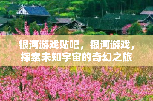 银河游戏贴吧，银河游戏，探索未知宇宙的奇幻之旅