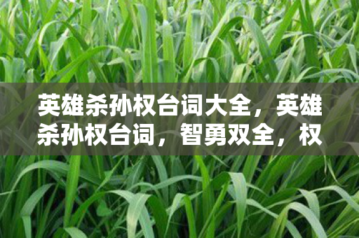 英雄杀孙权台词大全，英雄杀孙权台词，智勇双全，权倾江东