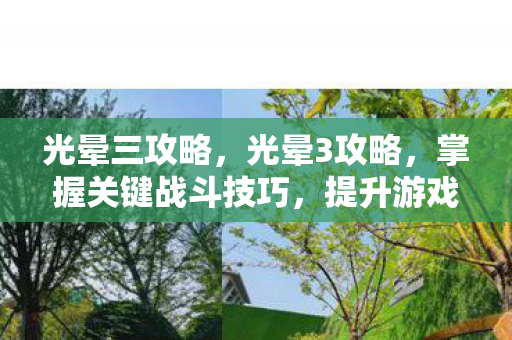 光晕三攻略，光晕3攻略，掌握关键战斗技巧，提升游戏胜率
