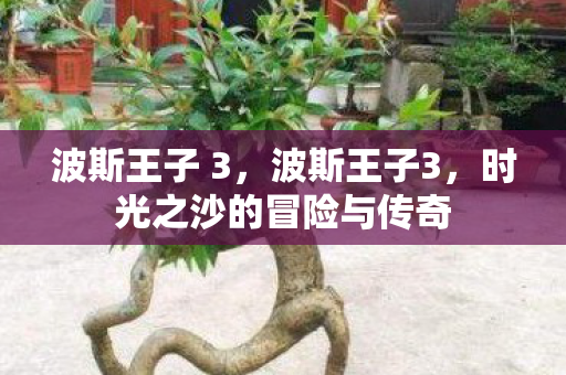 波斯王子 3，波斯王子3，时光之沙的冒险与传奇