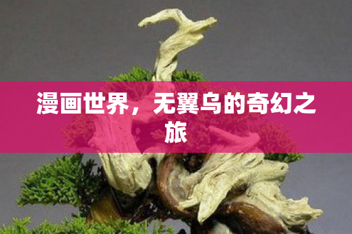 漫画世界,无翼乌的奇幻之旅 漫画世界,无翼乌的奇幻之旅