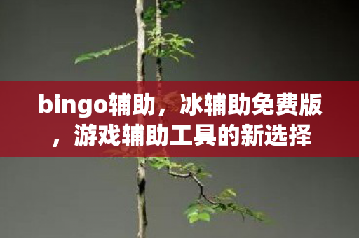 bingo辅助,冰辅助免费版,游戏辅助工具的新选择 bingo辅助,冰辅助免费版,游戏辅助工具的新选择