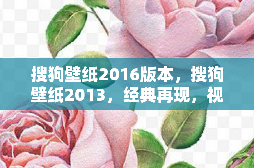 搜狗壁纸2016版本，搜狗壁纸2013，经典再现，视觉盛宴的延续