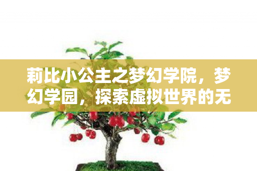 莉比小公主之梦幻学院，梦幻学园，探索虚拟世界的无限可能
