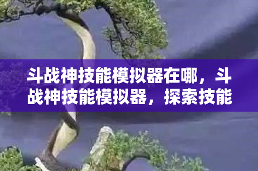 斗战神技能模拟器在哪,斗战神技能模拟器,探索技能搭配与战斗策略的深度工具 斗战神技能模拟器在哪,斗战神技能模拟器,探索技能搭配与战斗策略的深度工具