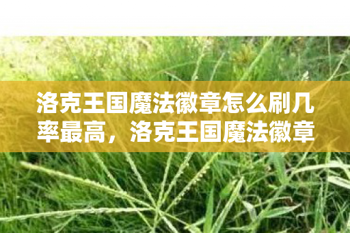 洛克王国魔法徽章怎么刷几率最高，洛克王国魔法徽章，探索王国奇幻之旅的钥匙