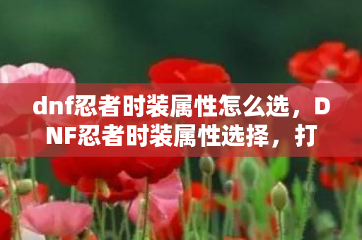 dnf忍者时装属性怎么选,DNF忍者时装属性选择,打造最强战斗风格 dnf忍者时装属性怎么选,DNF忍者时装属性选择,打造最强战斗风格