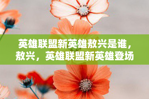 英雄联盟新英雄敖兴是谁，敖兴，英雄联盟新英雄登场，重塑游戏格局