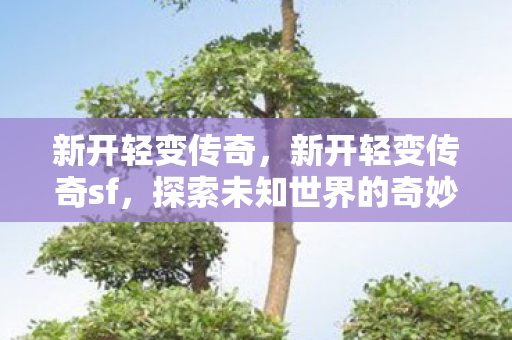 新开轻变传奇，新开轻变传奇sf，探索未知世界的奇妙之旅