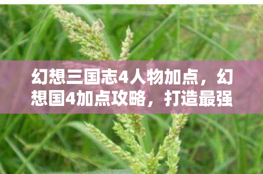 幻想三国志4人物加点,幻想国4加点攻略,打造最强角色,畅游奇幻世界 幻想三国志4人物加点,幻想国4加点攻略,打造最强角色,畅游奇幻世界