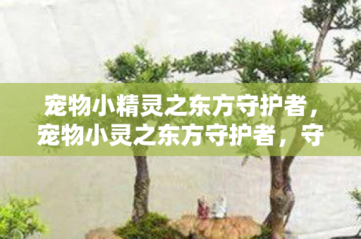 宠物小精灵之东方守护者，宠物小灵之东方守护者，守护与冒险的奇幻之旅
