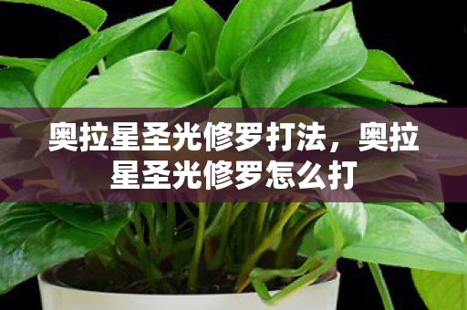 奥拉星圣光修罗打法,奥拉星圣光修罗怎么打 奥拉星圣光修罗打法,奥拉星圣光修罗怎么打