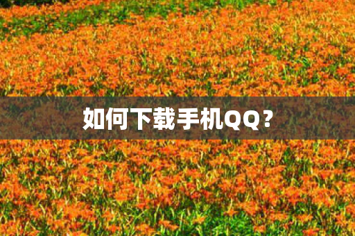 如何下载手机QQ? 如何下载手机QQ?