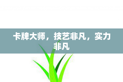 卡牌大师,技艺非凡,实力非凡 卡牌大师,技艺非凡,实力非凡