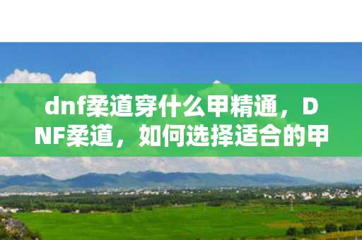 dnf柔道穿什么甲精通,DNF柔道,如何选择适合的甲类装备 dnf柔道穿什么甲精通,DNF柔道,如何选择适合的甲类装备